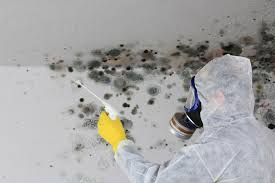 Best Commercial Mold Inspection  in Greenwood, AR